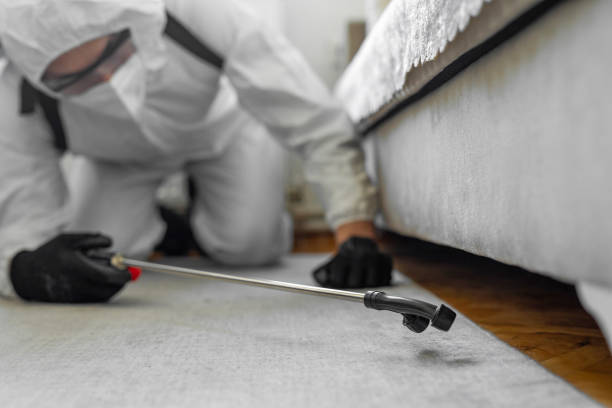 Professional Bed Bug Control technician working in New Carrollton, MD