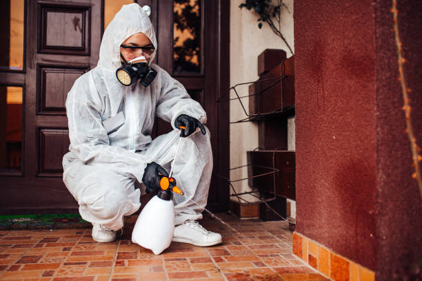 Reliable Bed Bug Control contractor in New Carrollton, MD by Nex Pest Control