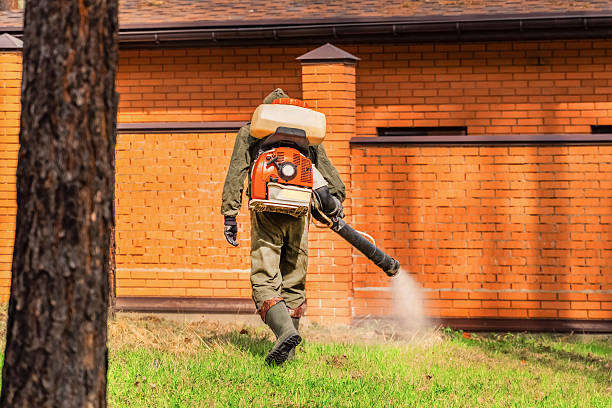 Trusted Bed Bug Control service in New Carrollton, MD - Nex Pest Control